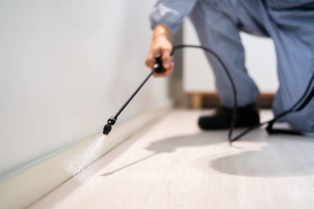 Licensed Pest Control service in Benton County County, OR - Nex Pest Control