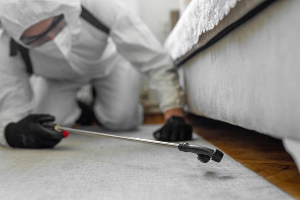 Professional Pest Control technician working in Benton County County, OR